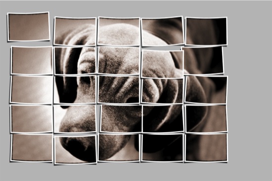 Loading Image